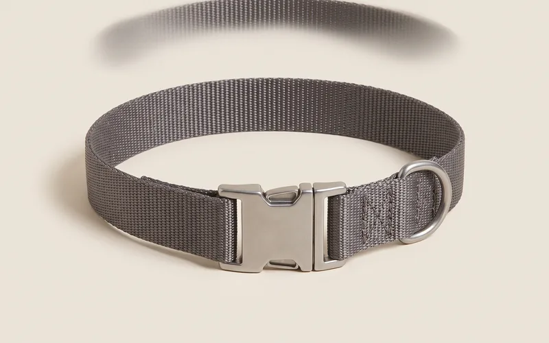 Collier plat pour chien, vu de trois quarts, sans marque ni modele.