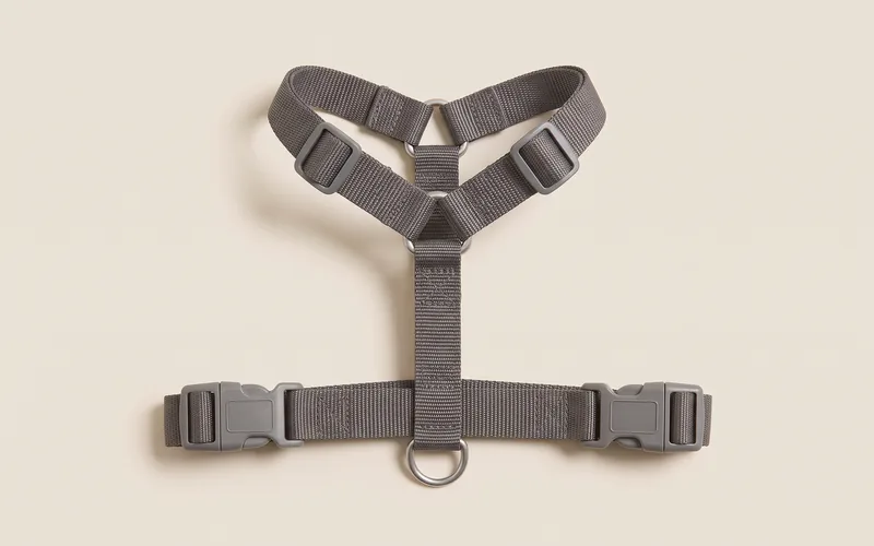 Harnais en Y pour chien : l’une des 8 classes de ce rayon.