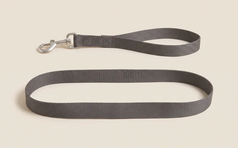 Laisse fixe pour chien, vu de trois quarts, sans marque ni modele.